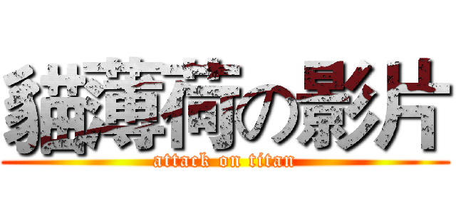 貓薄荷の影片 (attack on titan)