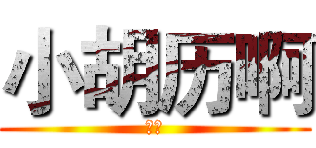 小胡历啊 (小豪)