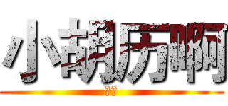 小胡历啊 (小豪)