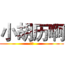 小胡历啊 (小豪)
