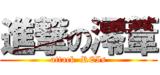 進撃の澪葦 (attack  REIs)