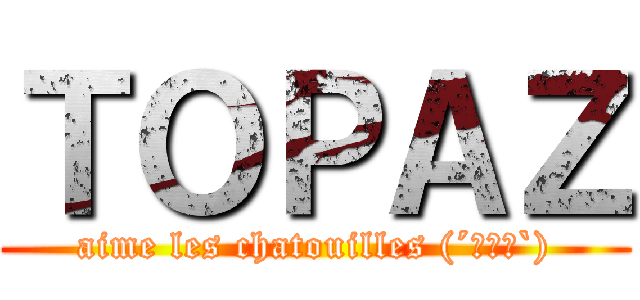 ＴＯＰＡＺ (aime les chatouilles (´・ω・`))