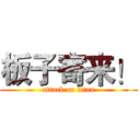 板子寄来！ (attack on titan)