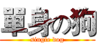 單身の狗 (single dog)