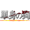 單身の狗 (single dog)