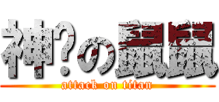 神貓の鼠鼠 (attack on titan)