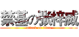 禁基の张梓威 (attack on titan)