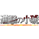 進擊の小琥 (awaking tiger’s instinct)