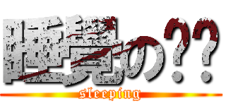 睡覺の咪咪 (sleeping)