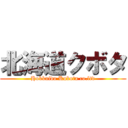 北海道クボタ (Hokkaido Kubota co.ltd)