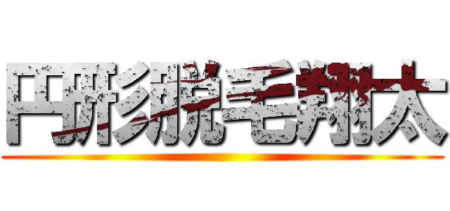 円形脱毛翔太 ()