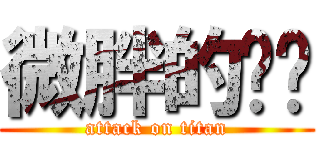 微胖的镜华 (attack on titan)