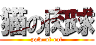 猫の肉球 (paw of cat)