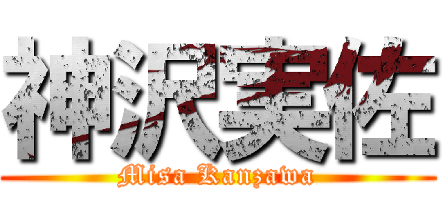 神沢実佐 (Misa Kanzawa)