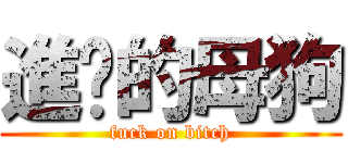 進擊的母狗 (fuck on bitch)