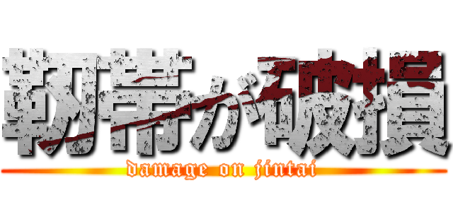 靭帯が破損 (damage on jintai)