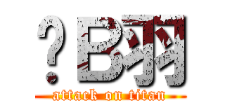 贱Ｂ羽 (attack on titan)