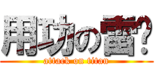 用功の雷婷 (attack on titan)