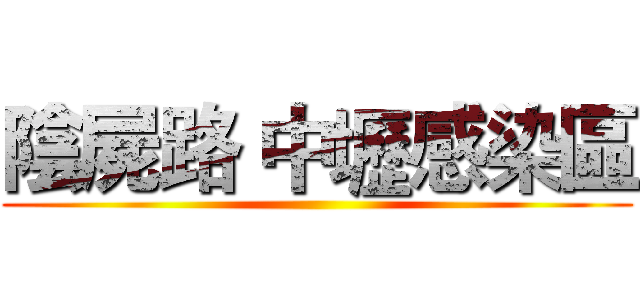 陰屍路 中壢感染區 ()