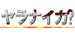 ヤラナイカ‼ ()