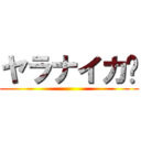 ヤラナイカ‼ ()