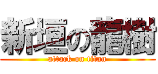 新垣の龍樹 (attack on titan)