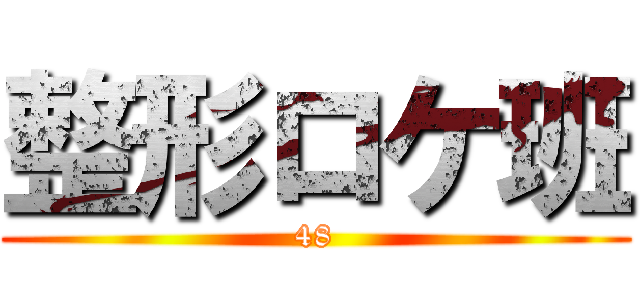 整形ロケ班 (48)