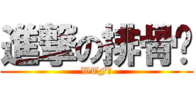 進撃の排骨貓 (WTF?)