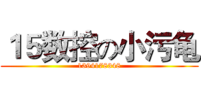 １５数控の小污龟 (1394178348)