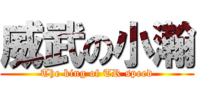 威武の小瀚 (The king of TR speed)