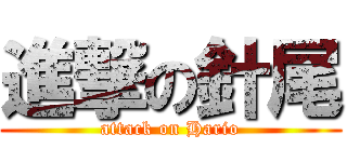 進撃の針尾 (attack on Hario)