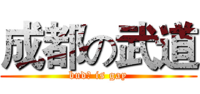 成都の武道 (budō is gay)