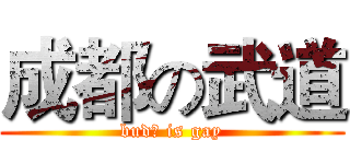 成都の武道 (budō is gay)