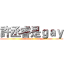 許丞睿是ｇａｙ (attack on titan)