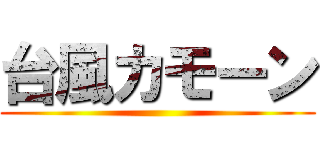 台風カモーン ()