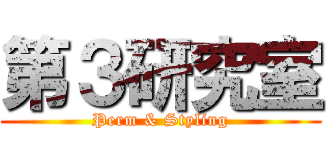 第３研究室 (Perm & Styling)