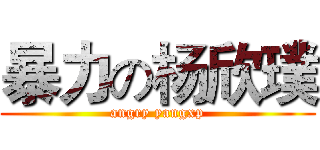 暴力の杨欣璞 (angry yangxp)
