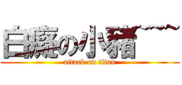 白癡の小豬~~~ (attack on titan)