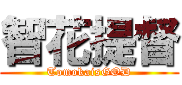 智花提督 (TomokaisGOD)