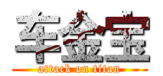 车金宝 (attack on titan)