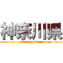 神奈川県 (kanagawa)