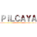 ＰＩＬＣＡＹＡ (Geekstore)