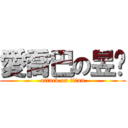 愛喬巴の昱彣 (attack on titan)