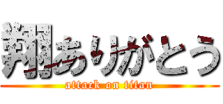 翔ありがとう (attack on titan)