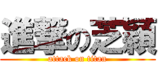 進撃の芝穎 (attack on titan)