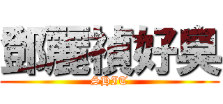 鄧麗禎好臭 (SHIT)