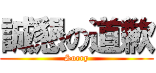 誠懇の道歉 (Sorry)