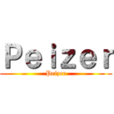 Ｐｅｉｚｅｒ (Peizer)