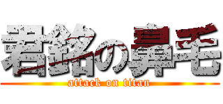 君銘の鼻毛 (attack on titan)