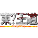 東婷王道 (DongTing)